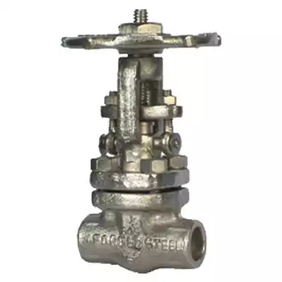 Forged Steel Globe Valve